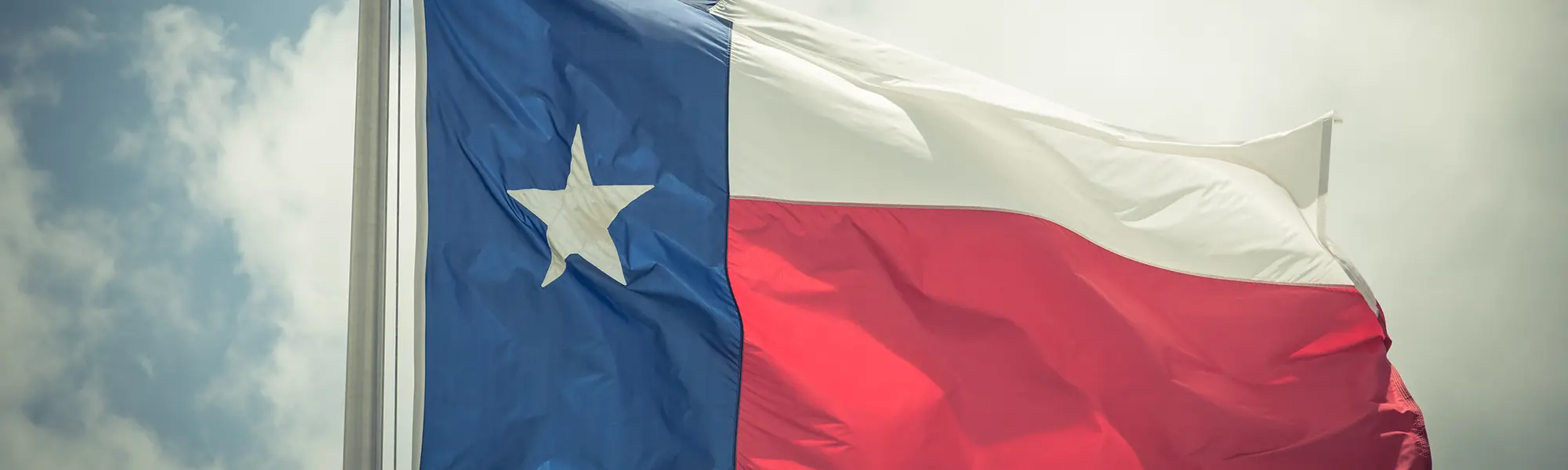 Texas Flag Cover
